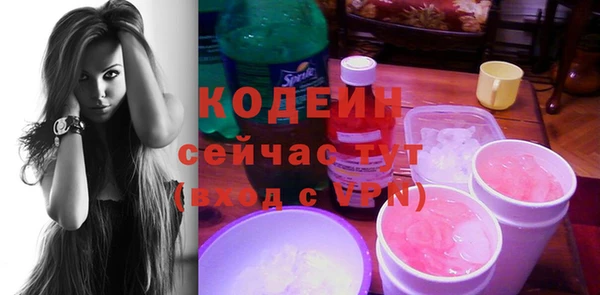 мет Елизово