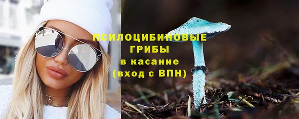 а пвп мука Ельня