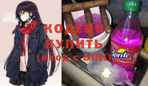 мет Елизово