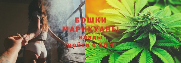 мет Елизово