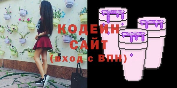 хмурый Елабуга