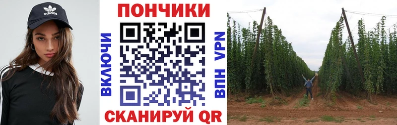 Каннабис конопля  Купить закладки  Кукмор 